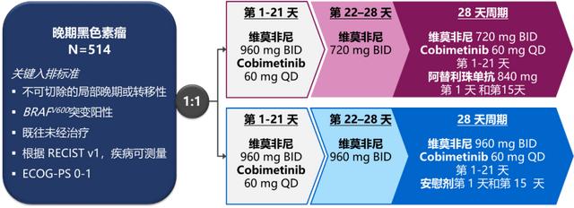  首个靶向联合免疫三药方案获批治疗BRAF V600突变阳性晚期黑色素瘤