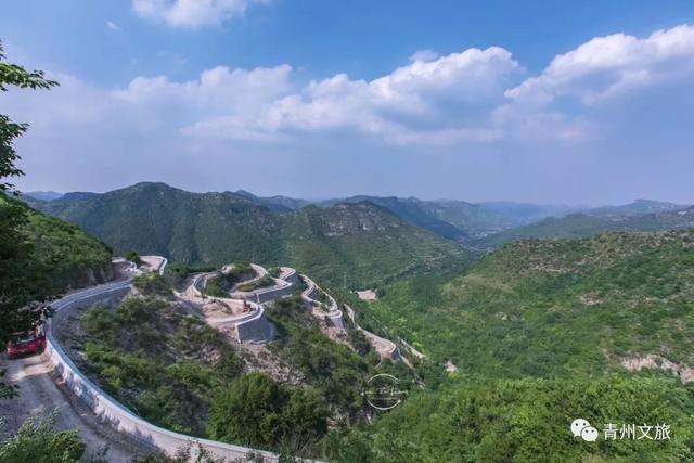 夏天来青州，可以干些啥？