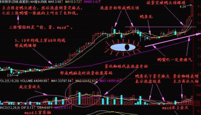 中国股市：如果你买的股票在尾盘半小时急跌，你知道是什么意思吗？看懂持股不慌