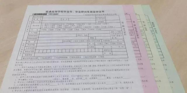 应届毕业生签署的协议，应该注意什么？