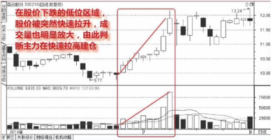 北大女博士罕见发声：如果有50万资金，高分红的中石化和跌剩零头的中石油，哪个更值得抄底？答案意料之外