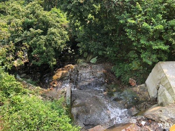 行摄：路边随处可见的美丽 是大自然赠予人类的美好