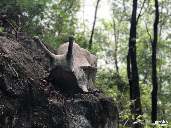 行摄：路边随处可见的美丽 是大自然赠予人类的美好