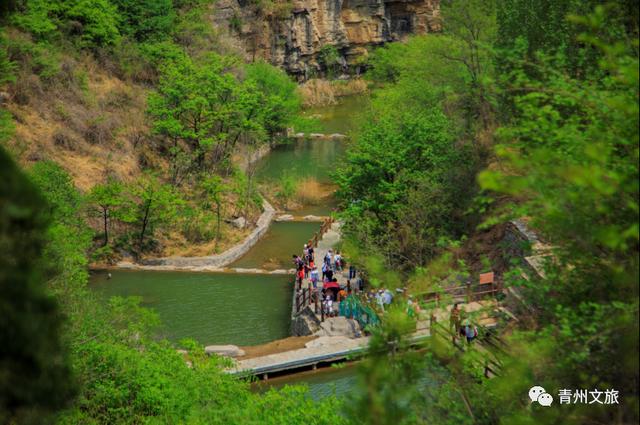 夏天来青州，可以干些啥？