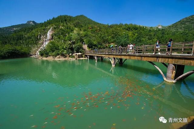 夏天来青州，可以干些啥？