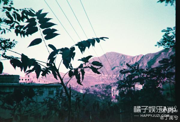 翻车■丁禹兮端水人设翻车，亲粉丝祝他早日糊？