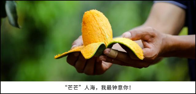 前进吧，三龙湾！一大波重大项目落户