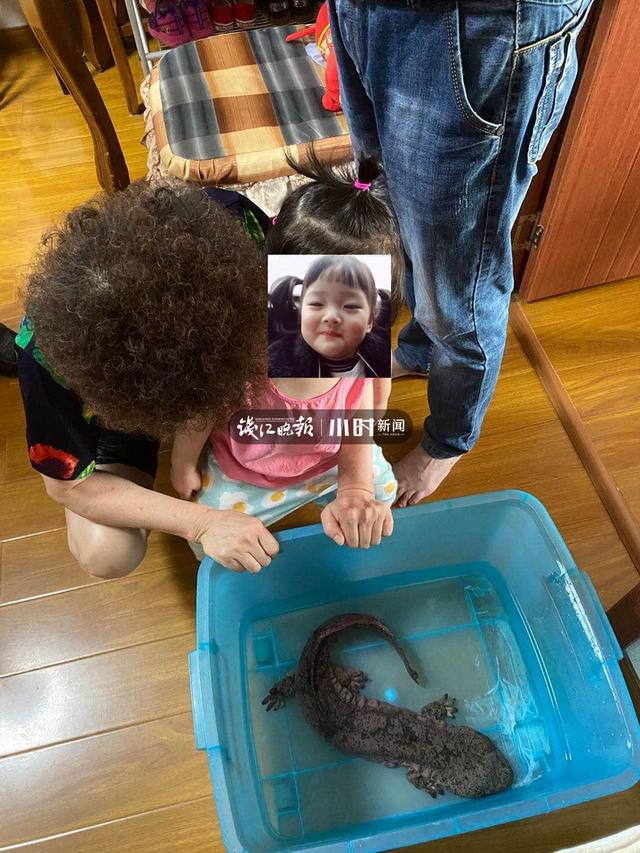 “我捡到一条鱼，怀疑是娃娃鱼”今早杭城一大