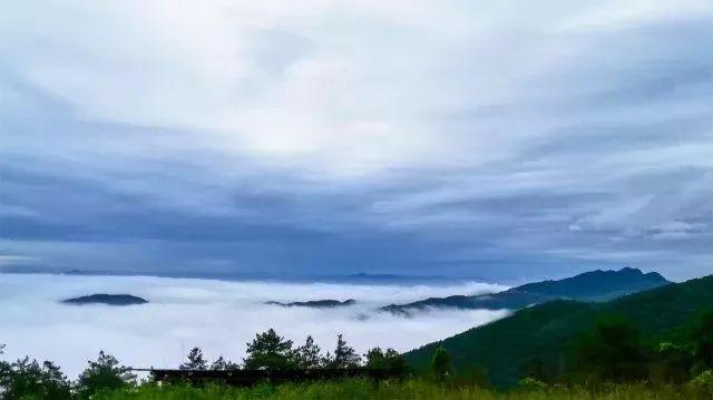 整整4个月！门票免费送！重庆这个私藏的避暑天堂，端午去正好
