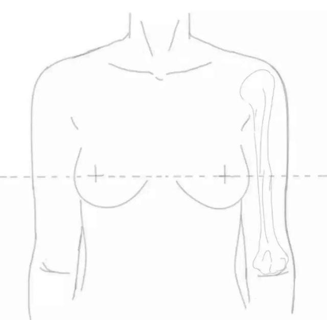 乳房只要大就好看？你的审美可能有误区啦