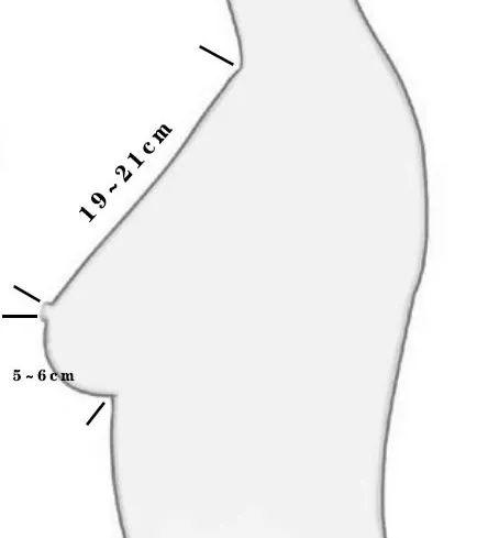 乳房只要大就好看？你的审美可能有误区啦