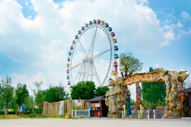 夏天来青州，可以干些啥？