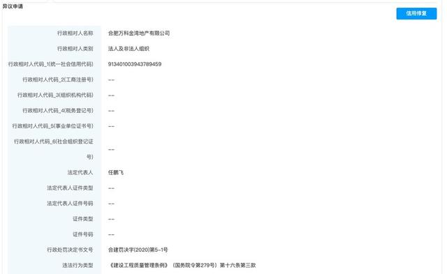 万科与平安不动产的合肥万科金湾地产公司遭罚：涉项目未竣工验收投入使用