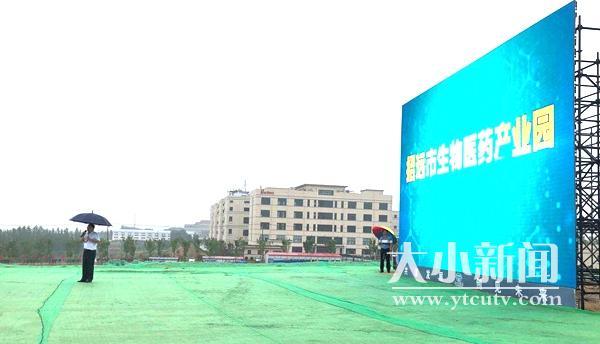 跟着市委书记去观摩｜生物医药产业园崛起招远“第二个黄金产业”