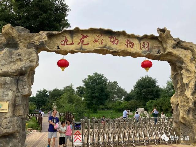 一直不知道，青州这里竟有上百种动物！