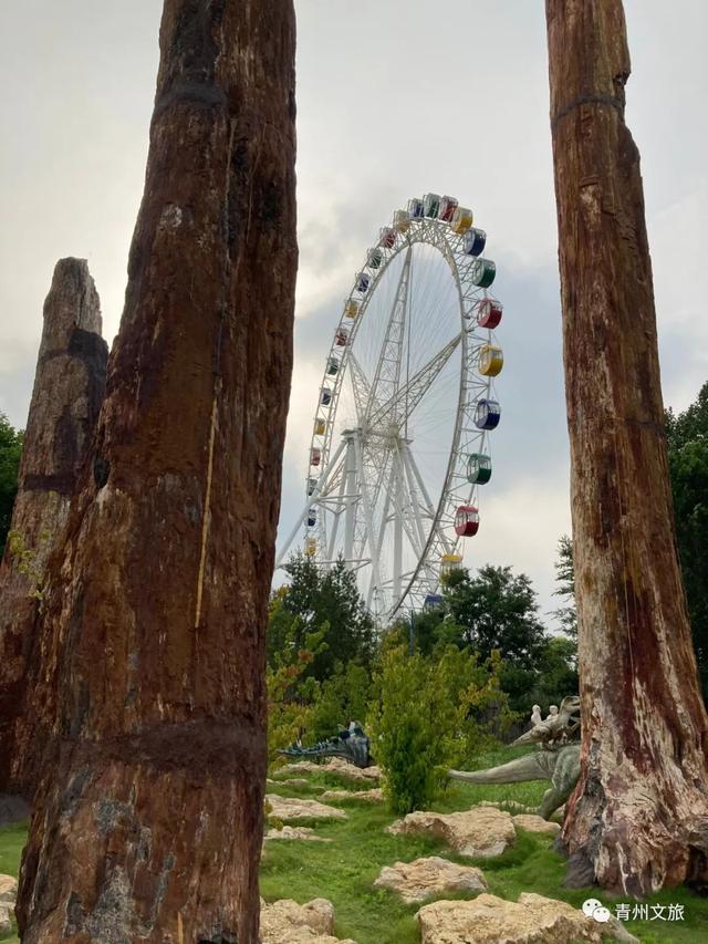 一直不知道，青州这里竟有上百种动物！