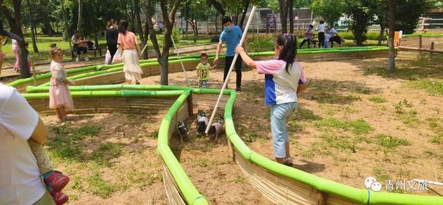 一直不知道，青州这里竟有上百种动物！