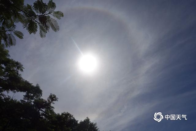 海南海口现“日晕”景观 惊艳朋友圈