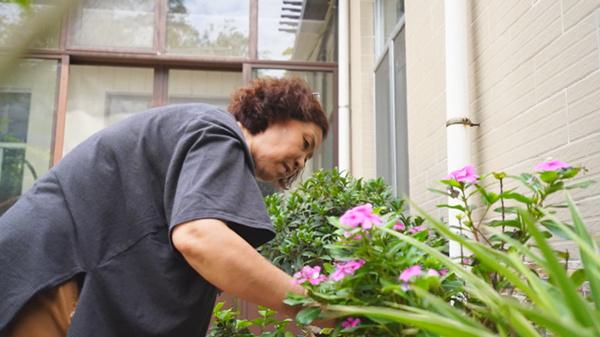 潍坊青州市：庭院之美 美在和谐 家和万事兴