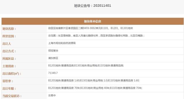 大名城8.14億元競得上海臨港1宗商住用地