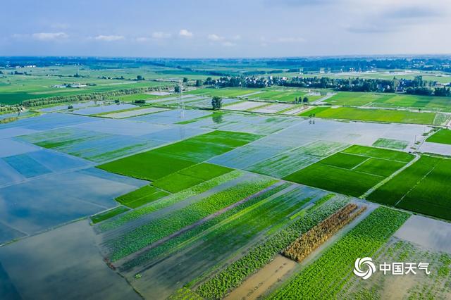 湖北洪湖市沙套湖水位高涨农田被淹 多处堤坝紧急加固