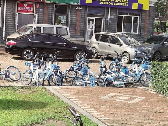 11个工作日仍未回复！哈啰共享单车 等你一个回