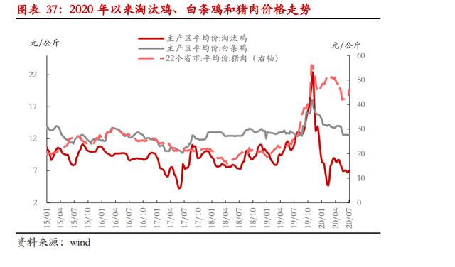 产能规模去化延后，鸡蛋现价三季度难有大幅反弹
