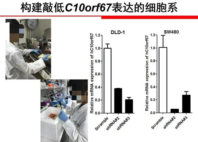 &quot;小学生凭基因研究获大奖&quot; 有多少博士父母的&quot;功劳&quot;