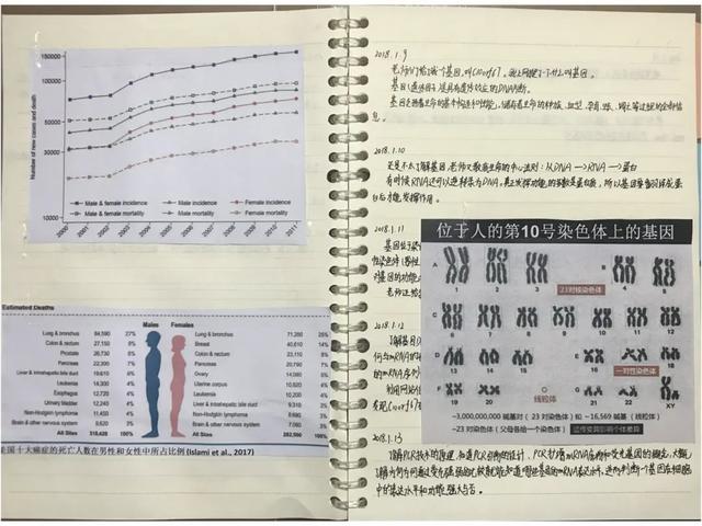 小学生研究癌症获全国大奖？官方回应来了