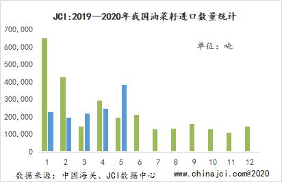 继续突破！菜油多头无敌手？