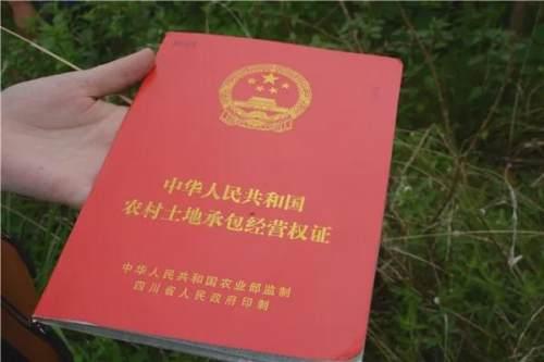 江阳区：巡回审判，林地里走来“亲切法官”