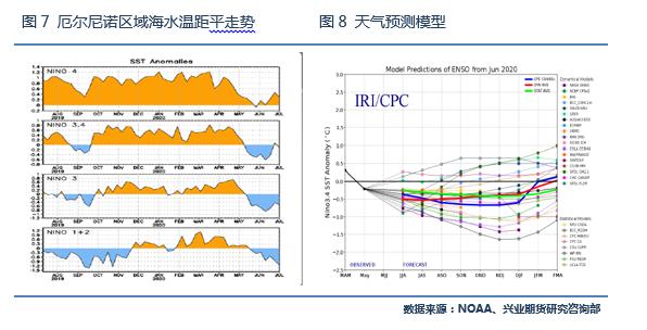 积极利多因素仍将强化，棕榈油目标价位上调