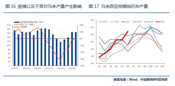 积极利多因素仍将强化，棕榈油目标价位上调