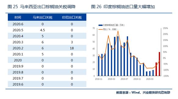 积极利多因素仍将强化，棕榈油目标价位上调