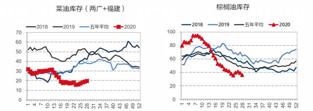 乘风破浪的菜油：涨停逼仓，底气何在？