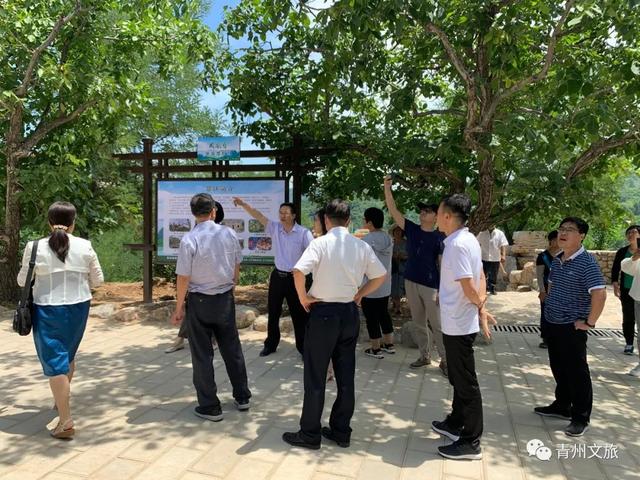 青州市文旅局迅速贯彻全市重点工作推进会议精神