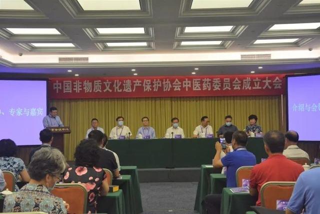 保护传承发展中医药非遗，从此有了专门组织