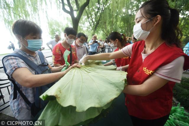 杭州西湖荷叶莲蓬开卖 市民游客排队抢购 网文选读 第1张