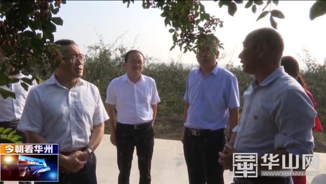 王海峰调研华州区花椒产业发展情况