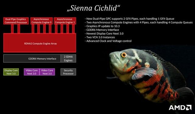 代號(hào)Sienna Cichlid AMD Navi 21將擁有5120個(gè)流處理器