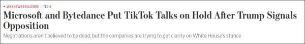 美媒：因特朗普反对，微软暂停收购TikTok美国业务谈判