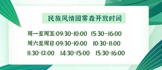 也太美了！厦门这四个夏日避暑清凉好去处，如迷雾仙境，快来感受这份凉意 ！