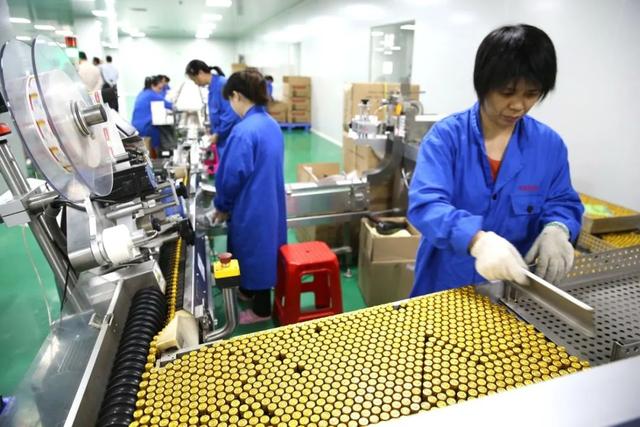 云浮市召开中医药大会：聚力实施“五个工程” ，推动中医药高质量发展