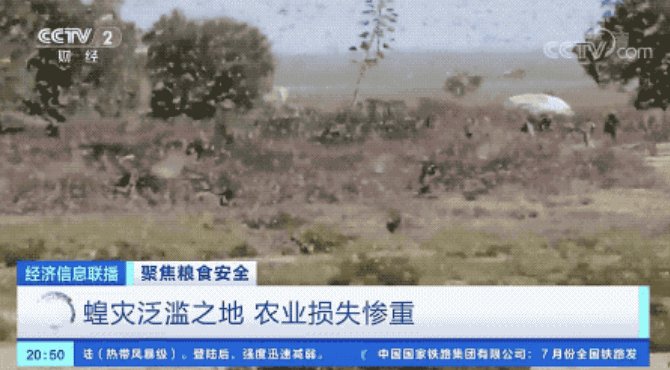 世界瀕臨嚴重糧食危機 中國老百姓的“米袋子”會受影響嗎？