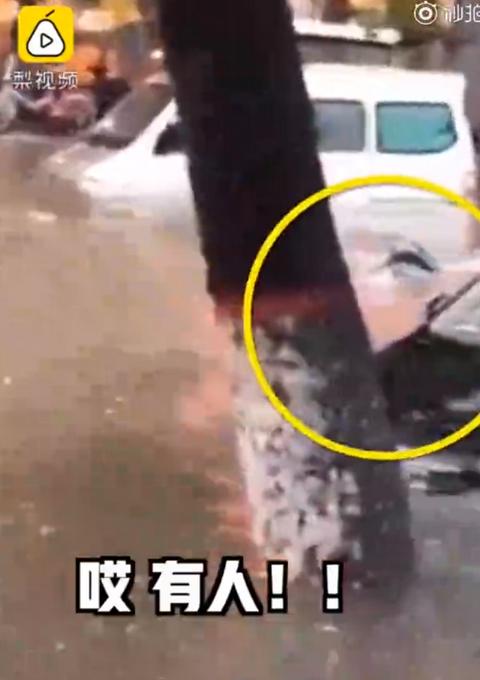 游泳|女子积水中游泳险遭车撞 这么脏的水也敢去“潜泳”心真大