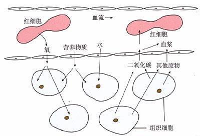 探寻5G隐秘角落——高难度地铁是如何覆盖5G的