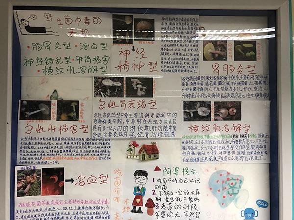 昆明女子吃野生菌中毒自称看到精灵，医院日收约25个中毒者 生活与健康 第5张