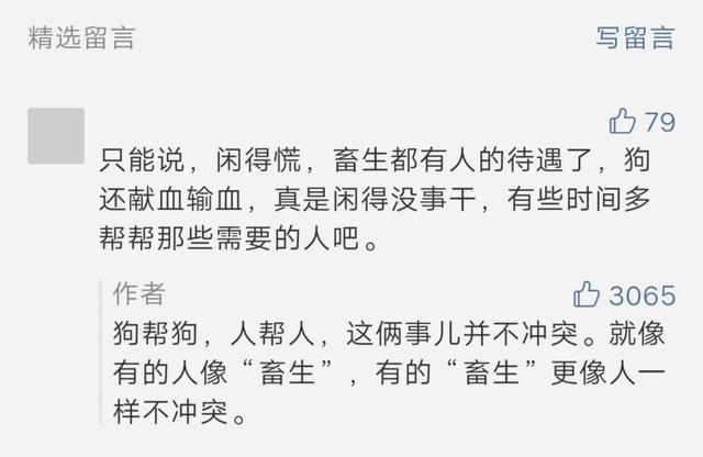 没错，狗也能献血，但被“人”喷闲得慌，说狗不配人的待遇