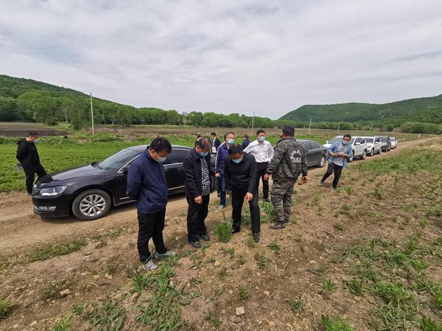 黑龙江夹信子镇以项目建设为支撑促进“六稳六保”落地生根