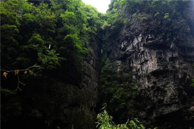 少年，高考后来大峡谷探索远古的奥秘